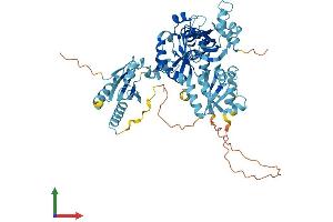Protein Structure (PS) image for Thioredoxin Domain Containing 3 (TXNDC3) (AA 1-588) protein (His tag) (ABIN7544825)