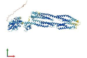 AlphaFold protein structure predicition of Human Recombinant ACTN2 Protein, UniprotID P35609
