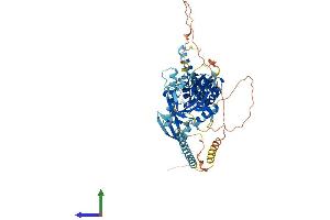 AlphaFold protein structure predicition of Mouse Recombinant Kif2b Protein, UniprotID Q8C0N1