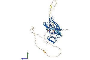 AlphaFold protein structure predicition of Mouse Recombinant Syn3 Protein, UniprotID Q8JZP2