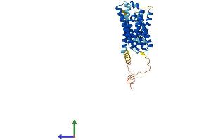 Protein Structure (PS) image for Solute Carrier Family 35, Member F2 (SLC35F2) (AA 1-375) protein (His tag) (ABIN7558213)