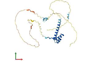 AlphaFold protein structure predicition of Mouse Recombinant Msx2 Protein, UniprotID Q03358
