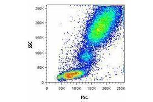 Flow Cytometry (FACS) image for RBC Lysis/Fixation Solution (10X) (ABIN2669206) (RBC Lysis/Fixation Solution (10X))