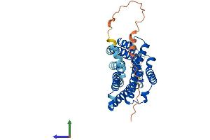 Protein Structure (PS) image for G Protein-Coupled Receptor 81 (GPR81) (AA 1-346) protein (His tag) (ABIN7548277)