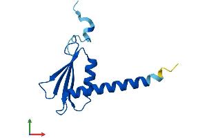Protein Structure (PS) image for Polymerase (RNA) II (DNA Directed) Polypeptide J3 (POLR2J3) (AA 1-115) protein (His tag) (ABIN7551551)