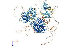 ARAP3 Protein (AA 1-1544) (His tag)