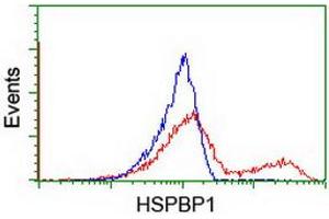 HEK293T cells transfected with either RC201814 overexpress plasmid (Red) or empty vector control plasmid (Blue) were immunostained by anti-HSPBP1 antibody (ABIN2454877), and then analyzed by flow cytometry. (HSPBP1 抗体)