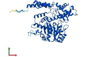 Protein Structure (PS) image for Cysteine Sulfinic Acid Decarboxylase (CSAD) (AA 1-493) protein (His tag) (ABIN7561276)
