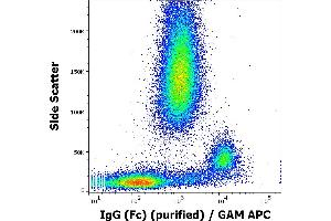 Flow cytometry surface staining pattern of human peripheral whole blood using anti-human IgG (Fc) (EM-07) purified antibody (concentration in sample 1 μg/mL, GAM APC). (小鼠 anti-人 IgG Fc (Fc Region) Antibody)