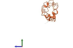 AlphaFold protein structure predicition of Human Recombinant KRTAP4-2 Protein, UniprotID Q9BYR5