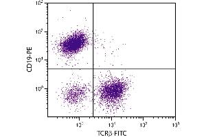 BALB/c mouse splenocytes were stained with Hamster Anti-Mouse TCRβ-FITC. (TCRb 抗体  (FITC))