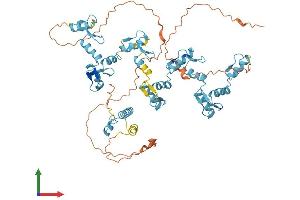 Protein Structure (PS) image for Zinc Finger Protein 264 (ZNF264) (AA 1-627) protein (His tag) (ABIN7545454)