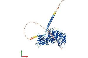 AlphaFold protein structure predicition of Human Recombinant MTMR2 Protein, UniprotID Q13614 (MTMR2 Protein (AA 1-643) (His tag))