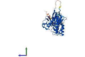 AlphaFold protein structure predicition of Human Recombinant MPPE1 Protein, UniprotID Q53F39