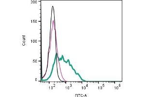 Cell surface detection of CD9 by indirect flow cytometry in live intact human  megakaryoblast cell line: + goat-anti-rabbit-FITC. (CD9 抗体  (Extracellular))