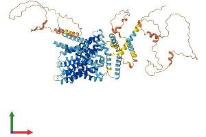 Protein Structure (PS) image for Solute Carrier Family 9, Subfamily A (NHE1, Cation Proton Antiporter 1), Member 1 (SLC9A1) (AA 1-820) protein (His tag) (ABIN7563904)