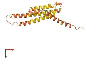 AlphaFold protein structure predicition of Human Recombinant DAOA Protein, UniprotID P59103