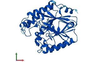 Protein Structure (PS) image for Calcineurin-Like phosphoesterase Domain Containing 1 (Cpped1) (AA 1-312) protein (His tag) (ABIN7558494)