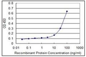 ELISA image for anti-Protein Kinase, Interferon-Inducible Double Stranded RNA Dependent Activator (PRKRA) antibody (ABIN781891)