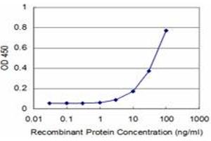 Detection limit for recombinant GST tagged MEOX2 is approximately 3ng/ml as a capture antibody. (MEOX2 抗体  (AA 1-303))