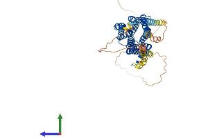 AlphaFold protein structure predicition of Human Recombinant HTR2A Protein, UniprotID P28223 (HTR2A Protein (AA 1-471) (His tag))