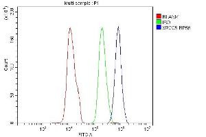 Flow Cytometry analysis of SiHa cells using anti-Ku80 antibody (ABIN3043964).