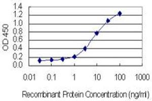 Detection limit for recombinant GST tagged KIF17 is 0. (KIF17 抗体  (AA 930-1029))