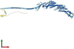 Protein Structure (PS) image for Component of Oligomeric Golgi Complex 6 (COG6) (AA 1-657) protein (His tag) (ABIN7546727)