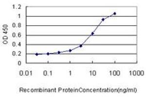 Detection limit for recombinant GST tagged RHEBL1 is approximately 0. (RHEBL1 抗体  (AA 87-183))