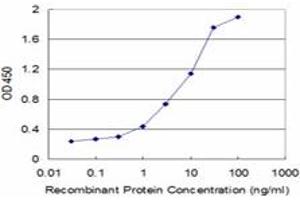 Detection limit for recombinant GST tagged GCHFR is approximately 0. (GCHFR 抗体  (AA 1-84))