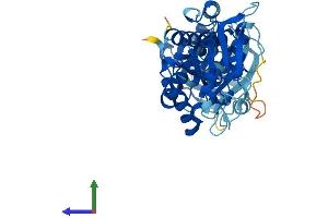 Protein Structure (PS) image for Interferon-Induced Protein 44 (IFI44) (AA 1-422) protein (His tag) (ABIN7558914)