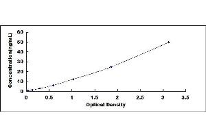 Typical standard curve (CYP46A1 ELISA 试剂盒)