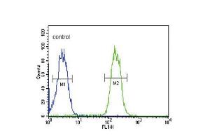 Flow cytometric analysis of MDA-MB435 cells (right histogram) compared to a negative control cell (left histogram). (ABCC3 抗体  (AA 899-925))