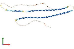 Protein Structure (PS) image for Keratin 81 (KRT81) (AA 1-481) protein (His tag) (ABIN7561433)