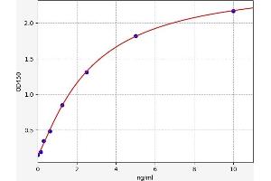 Typical standard curve (ALDH4A1 ELISA 试剂盒)