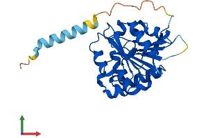 AlphaFold protein structure predicition of Mouse Recombinant Abhd14a Protein, UniprotID Q922Q6