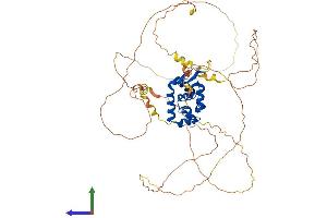 Protein Structure (PS) image for Forkhead Box N4 (FOXN4) (AA 1-517) protein (His tag) (ABIN7553963)