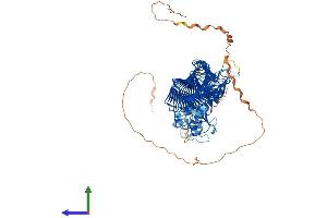 AlphaFold protein structure predicition of Human Recombinant FBXO11 Protein, UniprotID Q86XK2