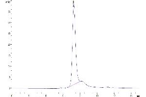 Size-exclusion chromatography-High Pressure Liquid Chromatography (SEC-HPLC) image for HLA-DR-gamma (CD74) (AA 56-279) protein (His tag) (ABIN7274239)