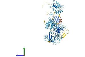 Protein Structure (PS) image for EF-Hand Domain (C-terminal) Containing 2 (EFHC2) (AA 1-749) protein (His tag) (ABIN7547308)