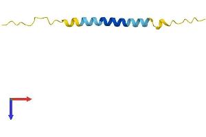 TMA7 Protein (AA 1-64) (Fc Tag)