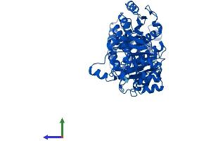 Protein Structure (PS) image for 5-Aminoimidazole-4-Carboxamide Ribonucleotide Formyltransferase/IMP Cyclohydrolase (ATIC) (AA 1-592) protein (His tag) (ABIN7551119)