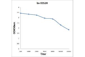 Antigen: 2 µg/100 µL  Primary: Antiserum, 1:500, 1:1000, 1:2000, 1:4000, 1:8000, 1:16000, 1:32000;  Secondary: HRP conjugated Rabbit Anti-Goat IgG at 1: 5000;  TMB staining Read the data in Microplate Reader by 450nm. (PSMA3 抗体)