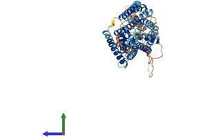 Protein Structure (PS) image for Solute Carrier Family 38 Member 4 (SLC38A4) (AA 1-547) protein (His tag) (ABIN7559682)