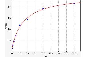 Typical standard curve (EGR2 ELISA 试剂盒)