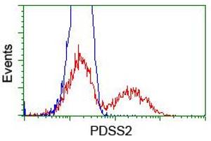 HEK293T cells transfected with either RC207892 overexpress plasmid (Red) or empty vector control plasmid (Blue) were immunostained by anti-PDSS2 antibody (ABIN2455313), and then analyzed by flow cytometry. (PDSS2 抗体)