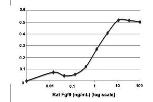 3T3 cells were cultured with 0 to 100 ng/mL rat Fgf9. (FGF9 蛋白)