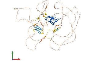Protein Structure (PS) image for Forkhead Box M1 (FOXM1) (AA 1-763) protein (His tag) (ABIN7553926)