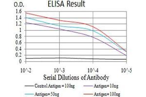 Black line: Control Antigen (100 ng);Purple line: Antigen (10ng); Blue line: Antigen (50 ng); Red line:Antigen (100 ng) (Growth Hormone 1 抗体  (AA 1-217))
