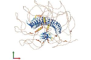 AlphaFold protein structure predicition of Mouse Recombinant Lrrc7 Protein, UniprotID Q80TE7